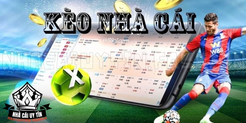 Trang web Dafabet cung cấp kèo cược chất lượng 