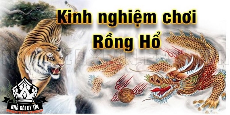 Kinh nghiệm để chơi Rồng Hổ không lo bịp bợm