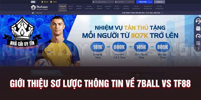 Giới thiệu sơ lược thông tin về 7Ball vs TF88 