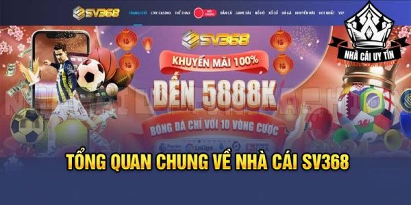 Tổng quan chung về thương hiệu SV368